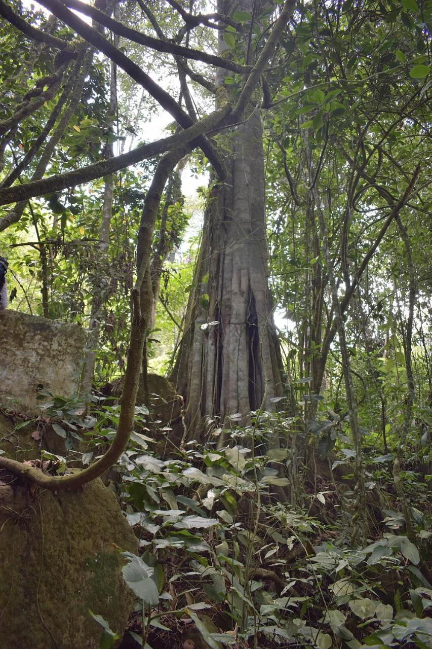 Monte Abi Mirador Villa Chaguani Esterno foto